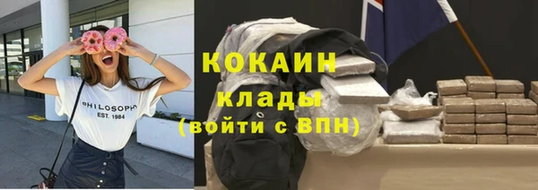 гашик Алзамай
