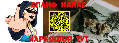 a pvp Новодвинск