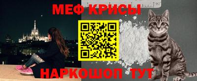 a pvp Новодвинск