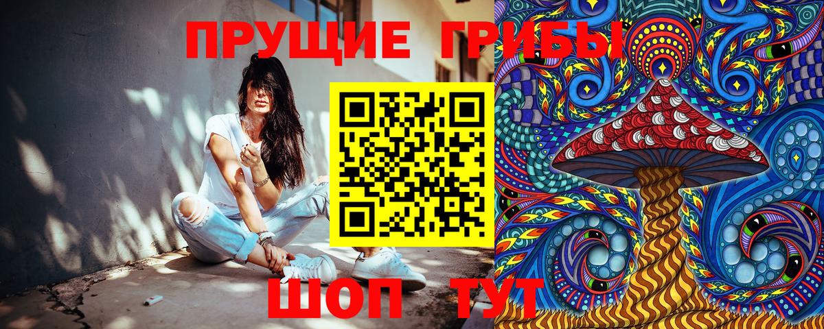 Галлюциногенные грибы Psilocybine cubensis  Вход с VPN  Кореновск 